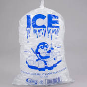 bag of ice